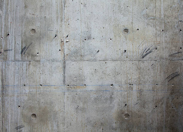 Best Concrete Foundation Repair in Lake Cassidy, WA